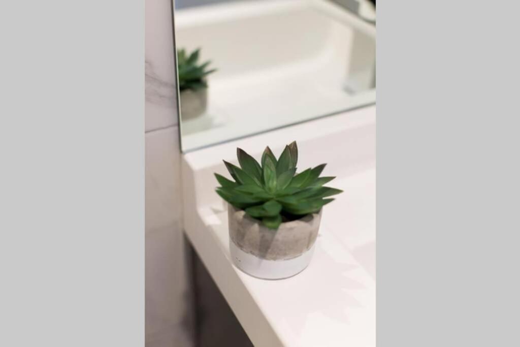 Wonderful Studio In Little Italy With Full Bath By Den Stays 몬트리올 외부 사진
